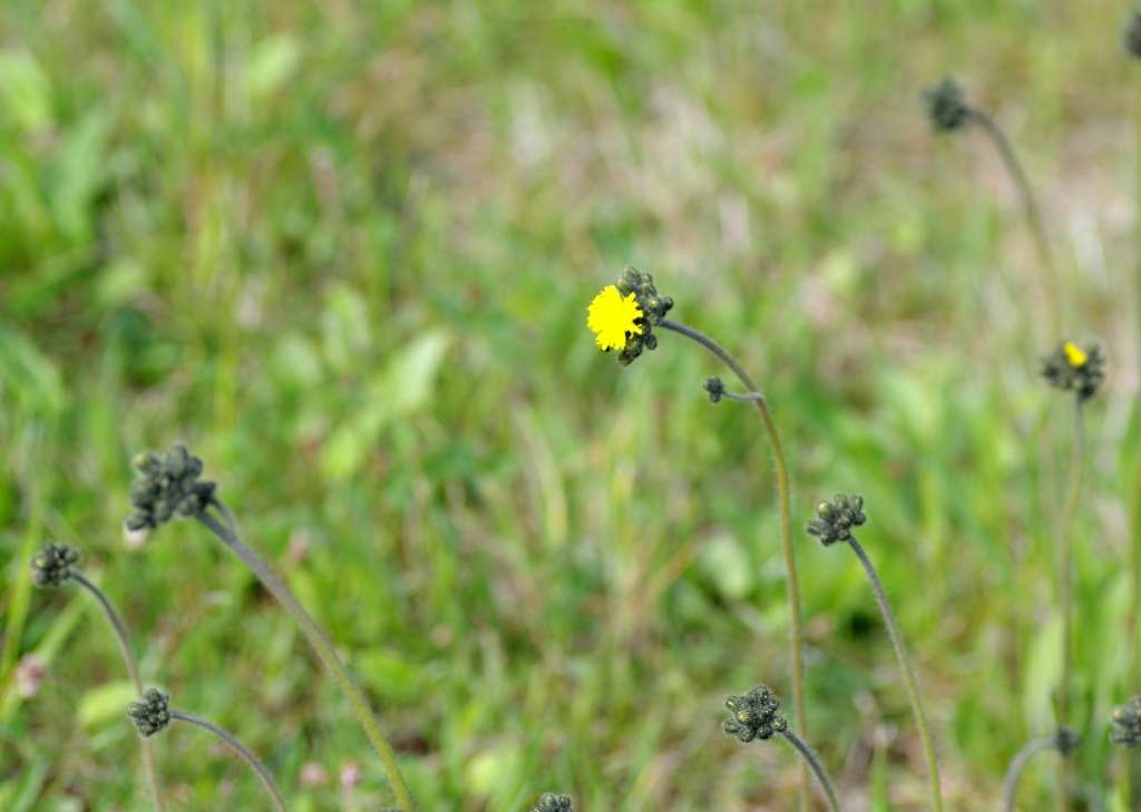 IMGP2928-1024~2.jpg