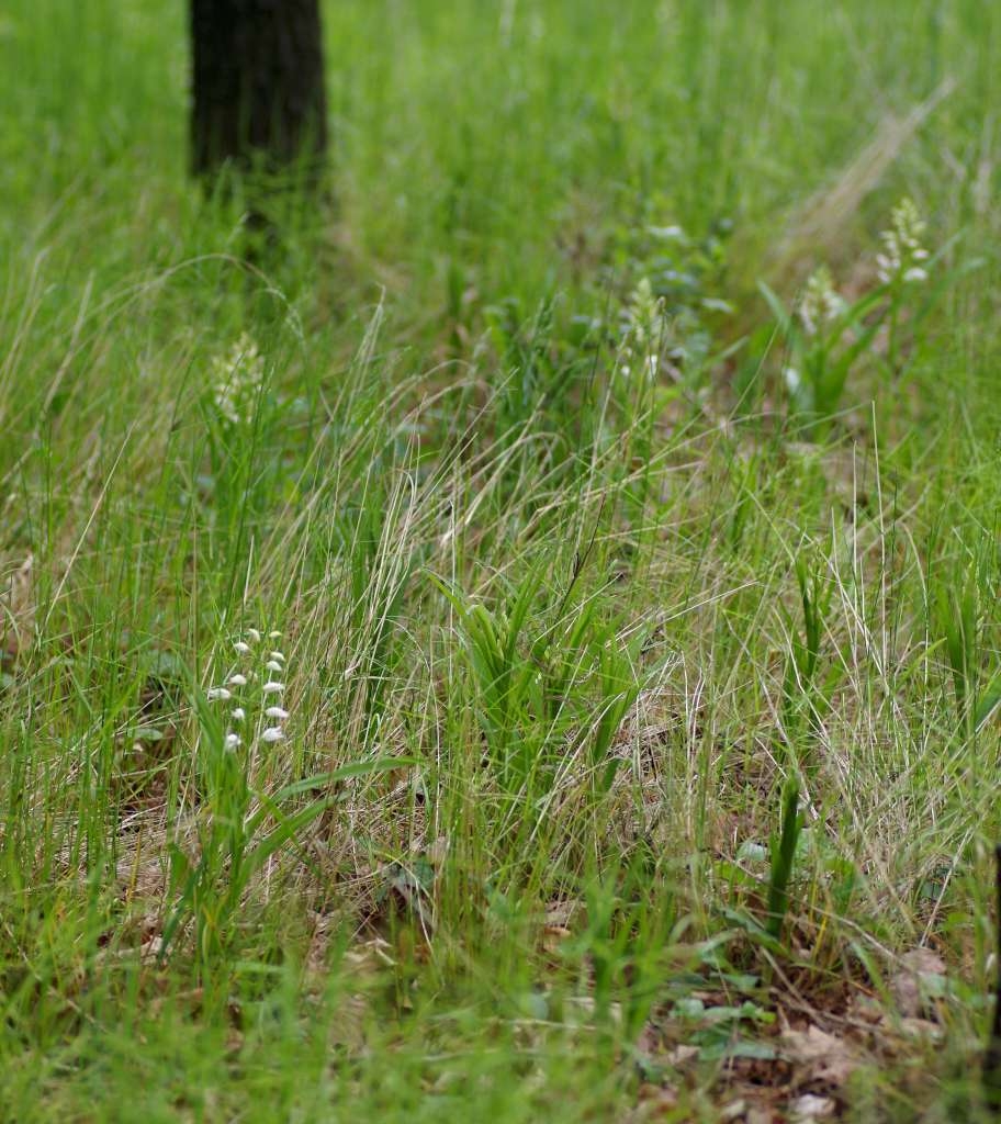 IMGP2968-1024~2.jpg