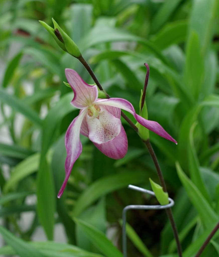 IMGP3020-1024~2.jpg