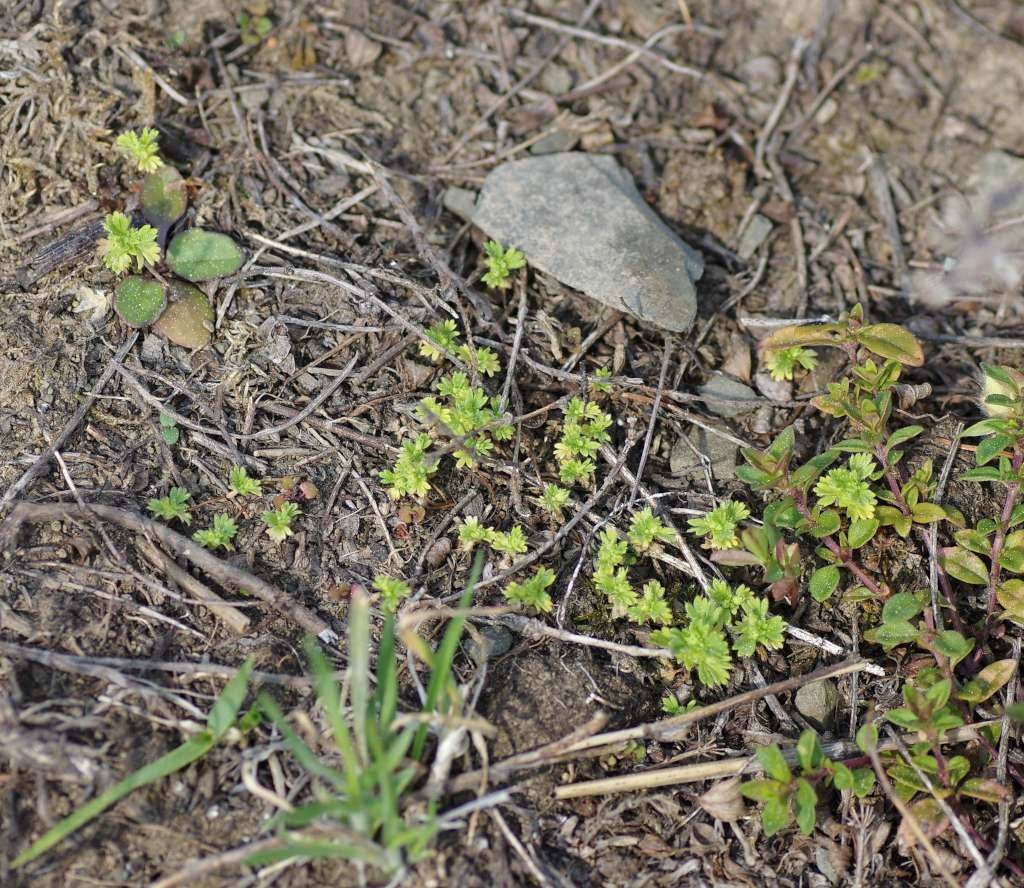 IMGP3049-1024~5.jpg