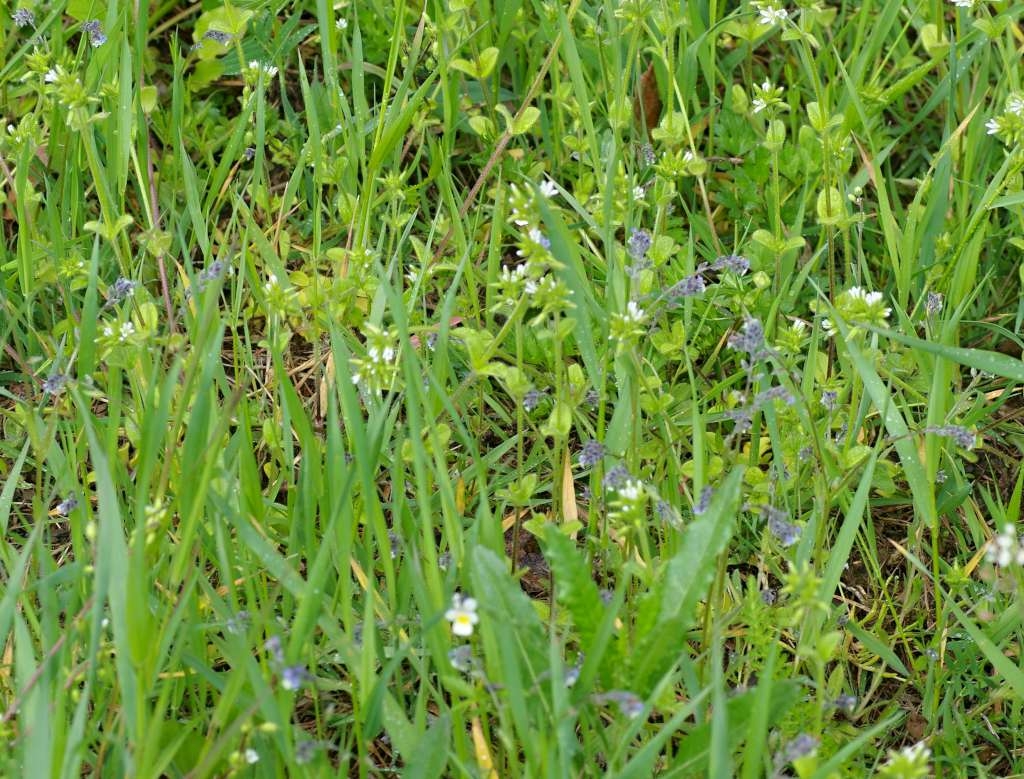 IMGP3138-1024~4.jpg