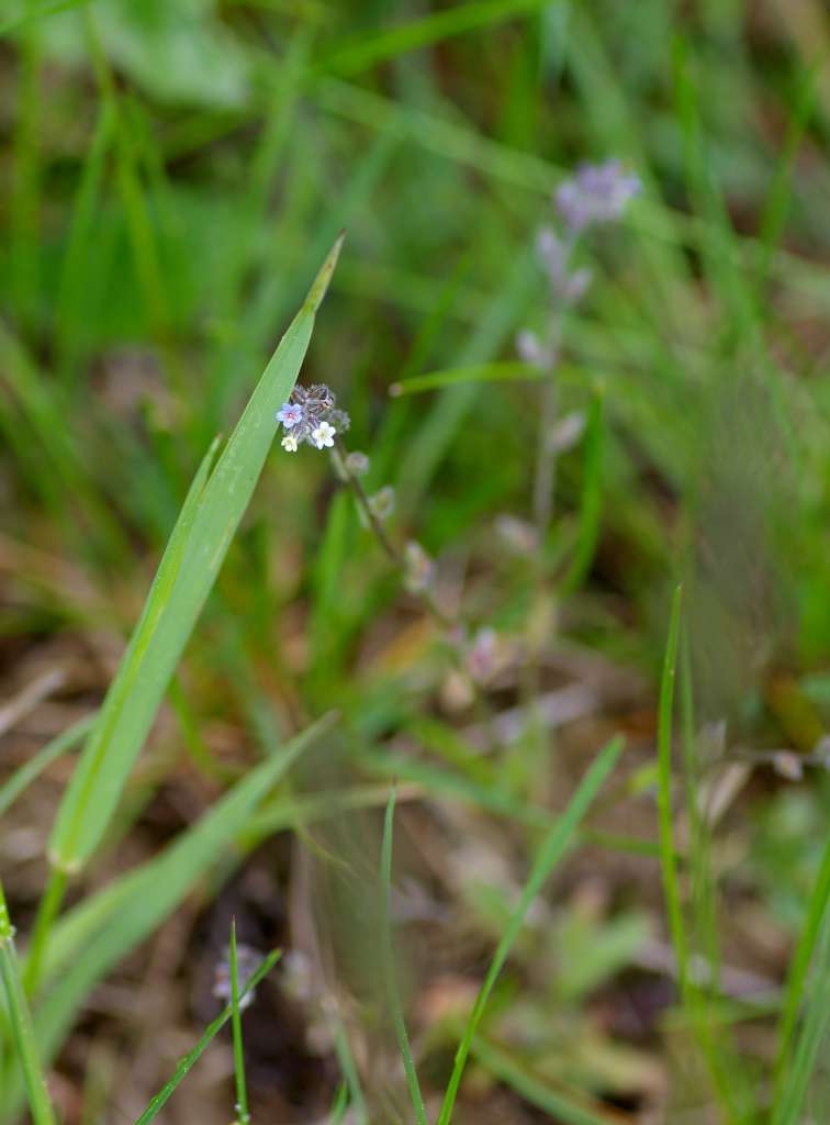 IMGP3142-1024~2.jpg
