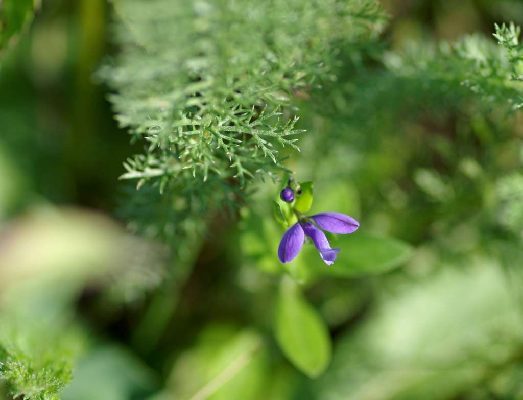 IMGP3178-1024~3.jpg