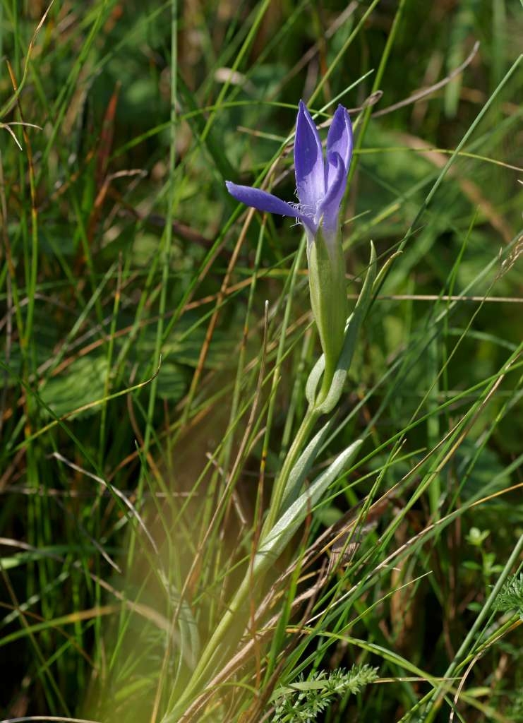 IMGP3208-1024~3.jpg
