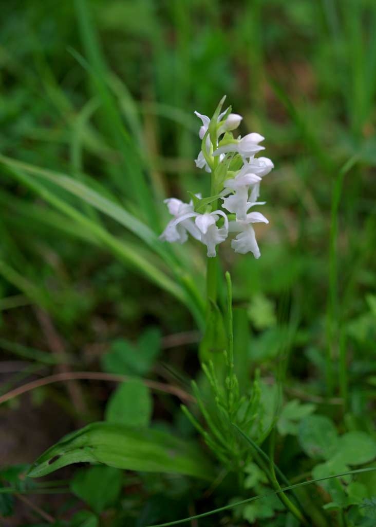 IMGP3412-1024~3.jpg