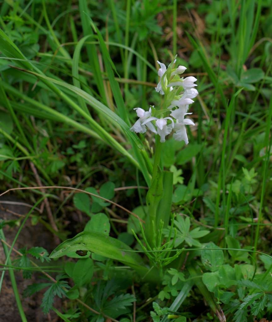 IMGP3414-1024~4.jpg