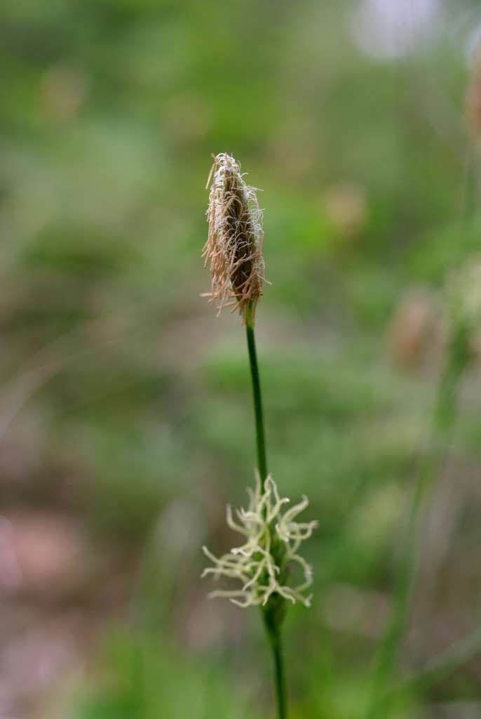 IMGP3471-1024~0.jpg