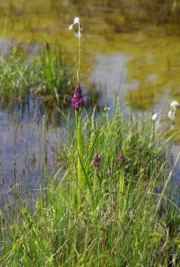 IMGP3506-1024~0.jpg