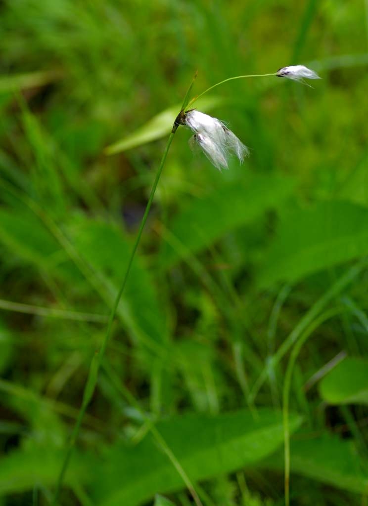 IMGP3544-1024~0.jpg
