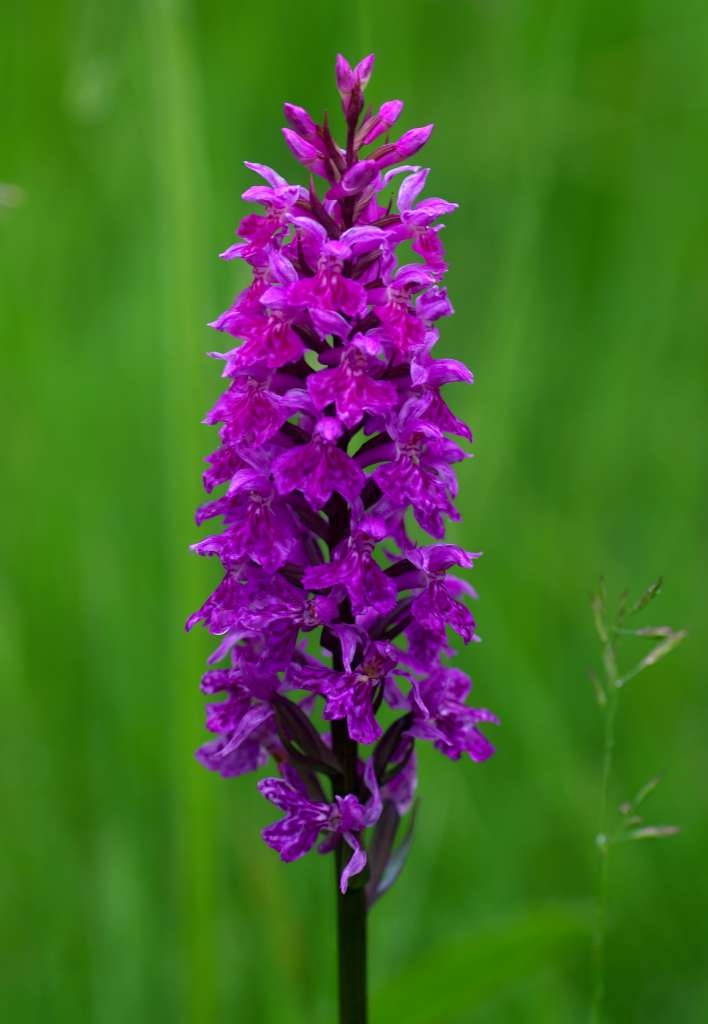 IMGP3617-1024~0.jpg