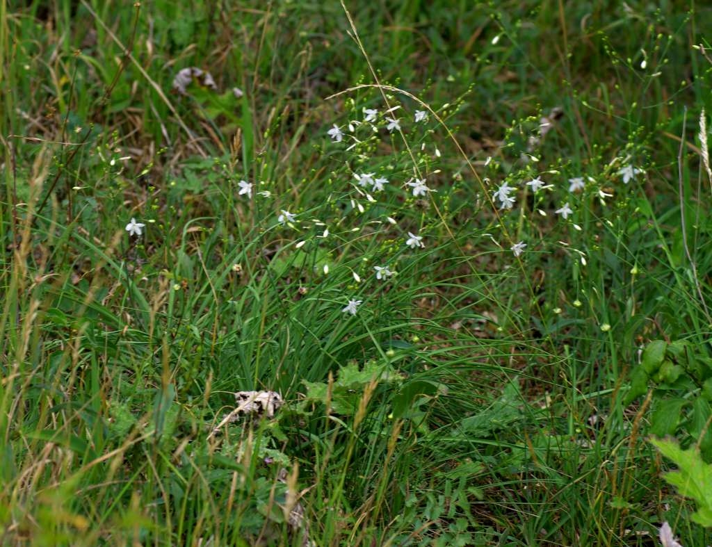 IMGP3664-1024~0.jpg