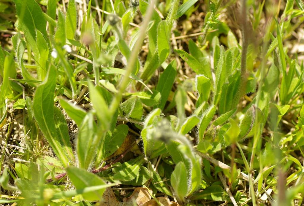 IMGP3725-1024~4.jpg