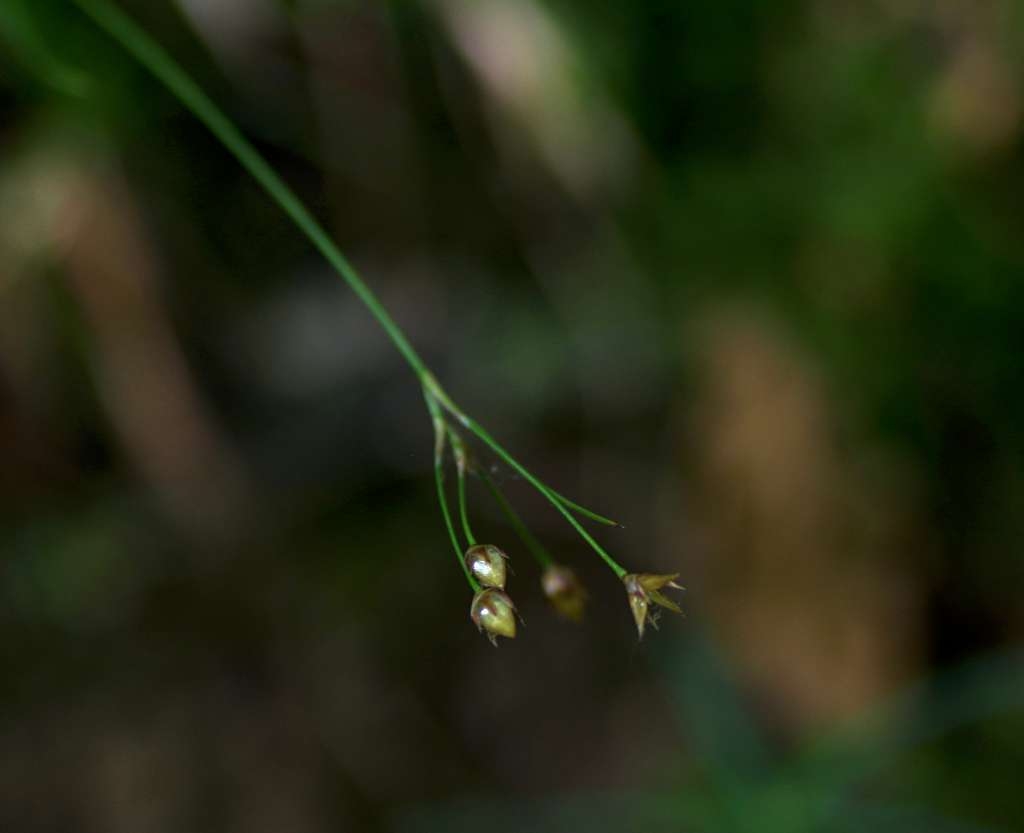 IMGP3734-1024~2.jpg