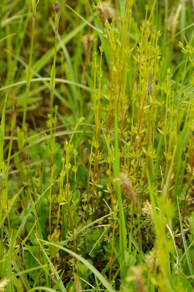 IMGP3735-1024~4.jpg