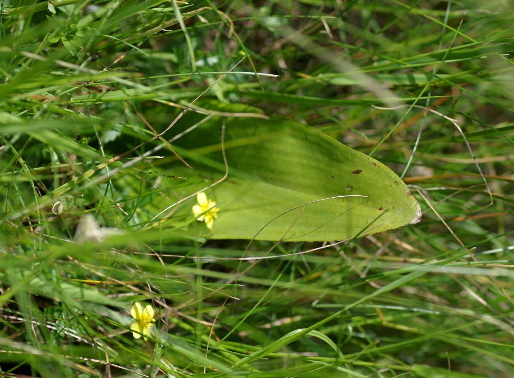 IMGP3770-1024~3.jpg