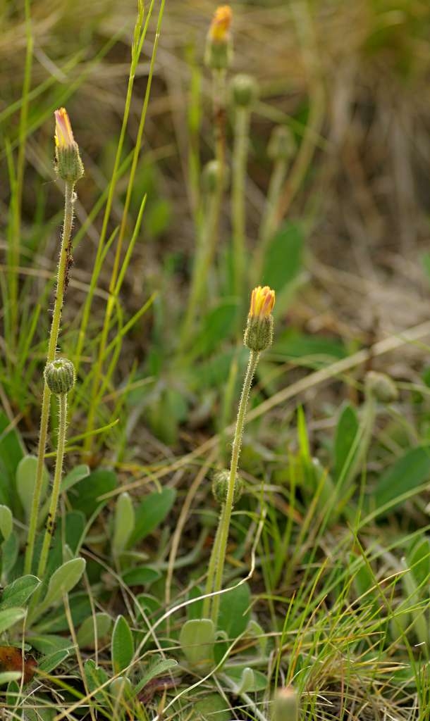 IMGP3827-1024~3.jpg