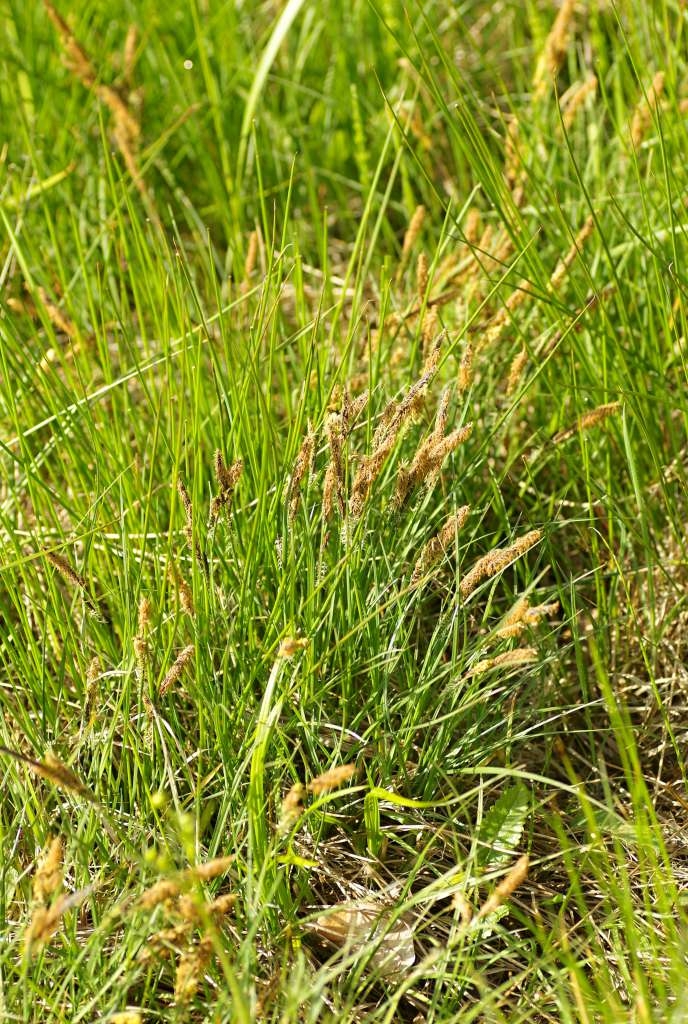IMGP3842-1024~3.jpg
