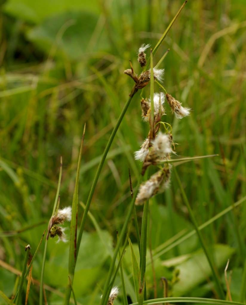 IMGP3852-1024~4.jpg