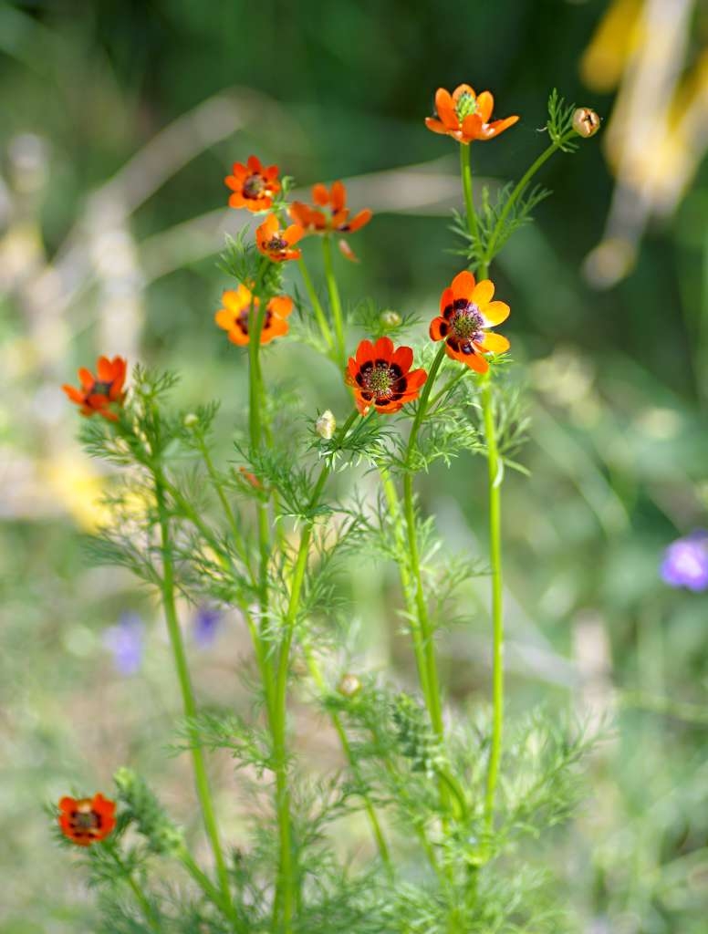 IMGP3902-1024~3.jpg