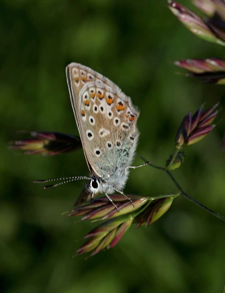 IMGP3915-1024~1.jpg