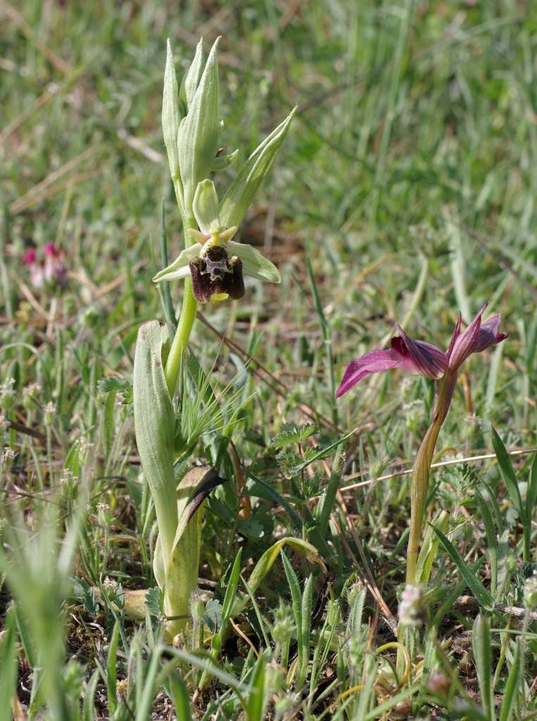 IMGP3940-1024~0.jpg