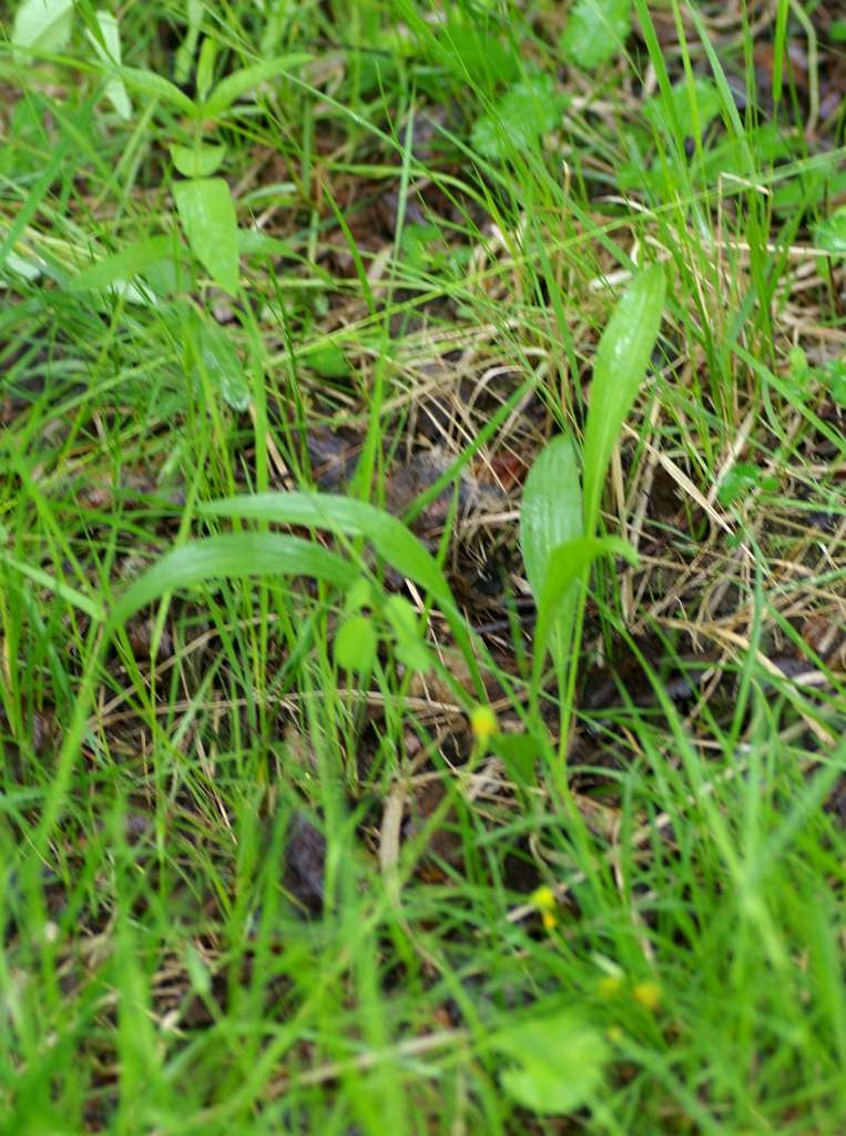 IMGP3968-1024~4.jpg