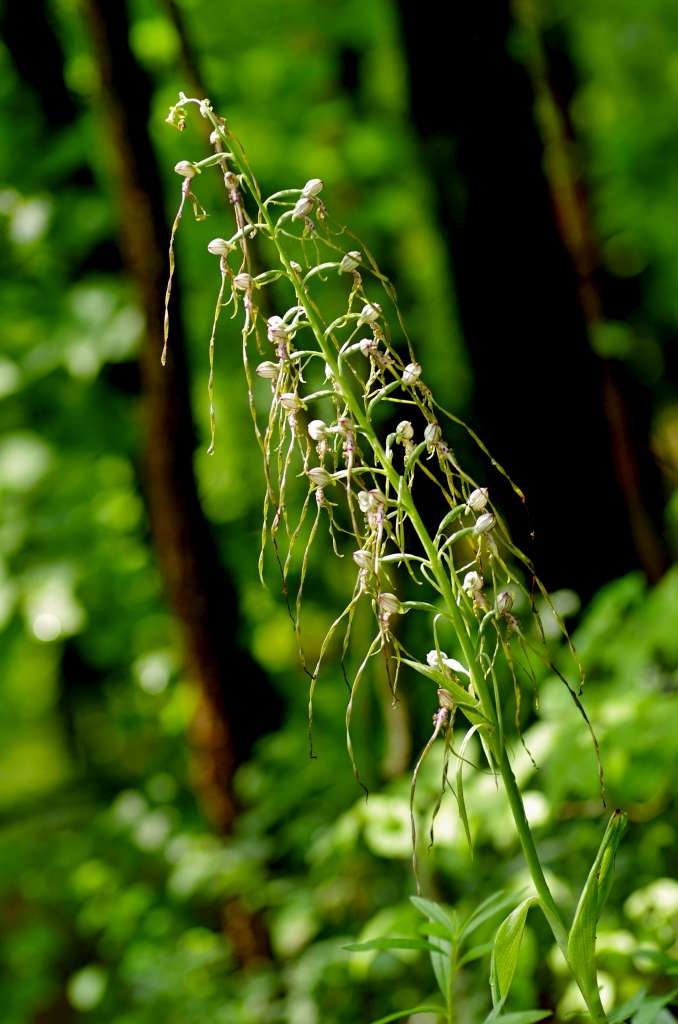 IMGP3974-1024.jpg
