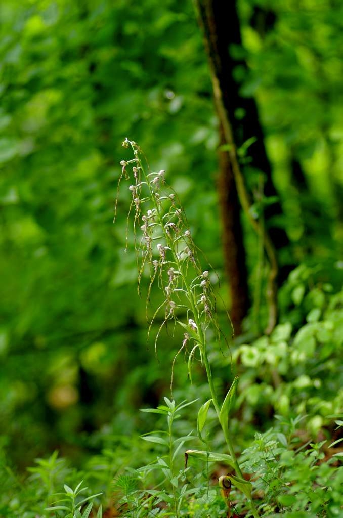 IMGP3979-1024.jpg