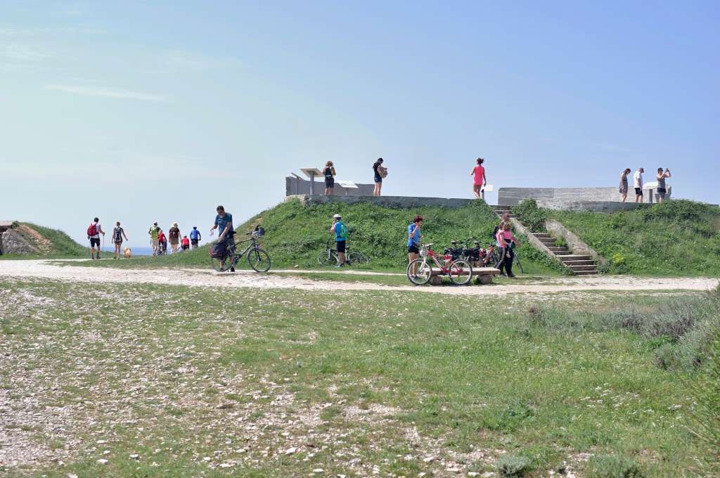 IMGP4020-1024~3.jpg