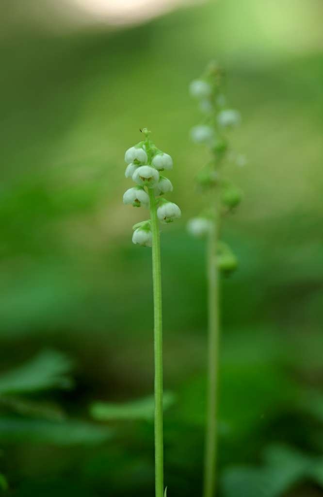 IMGP4022-1024~2.jpg