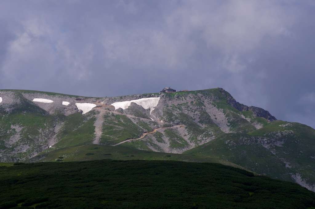 IMGP4029-1024.jpg