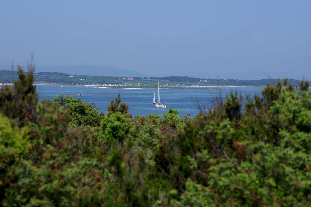 IMGP4057-1024.jpg