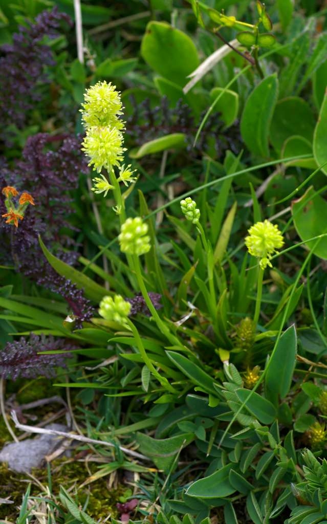 IMGP4078-1024~0.jpg