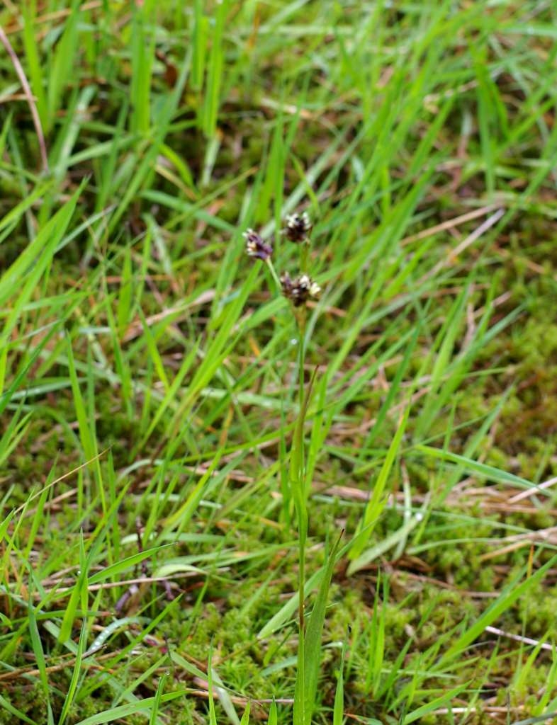 IMGP4555-1024~4.jpg