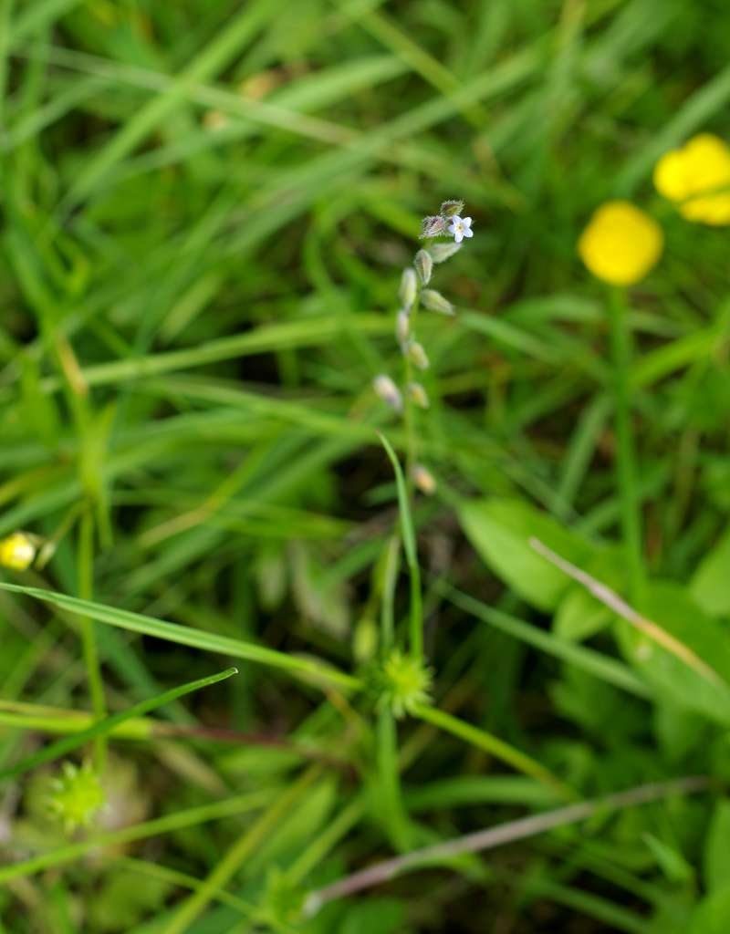 IMGP4717-1024~2.jpg