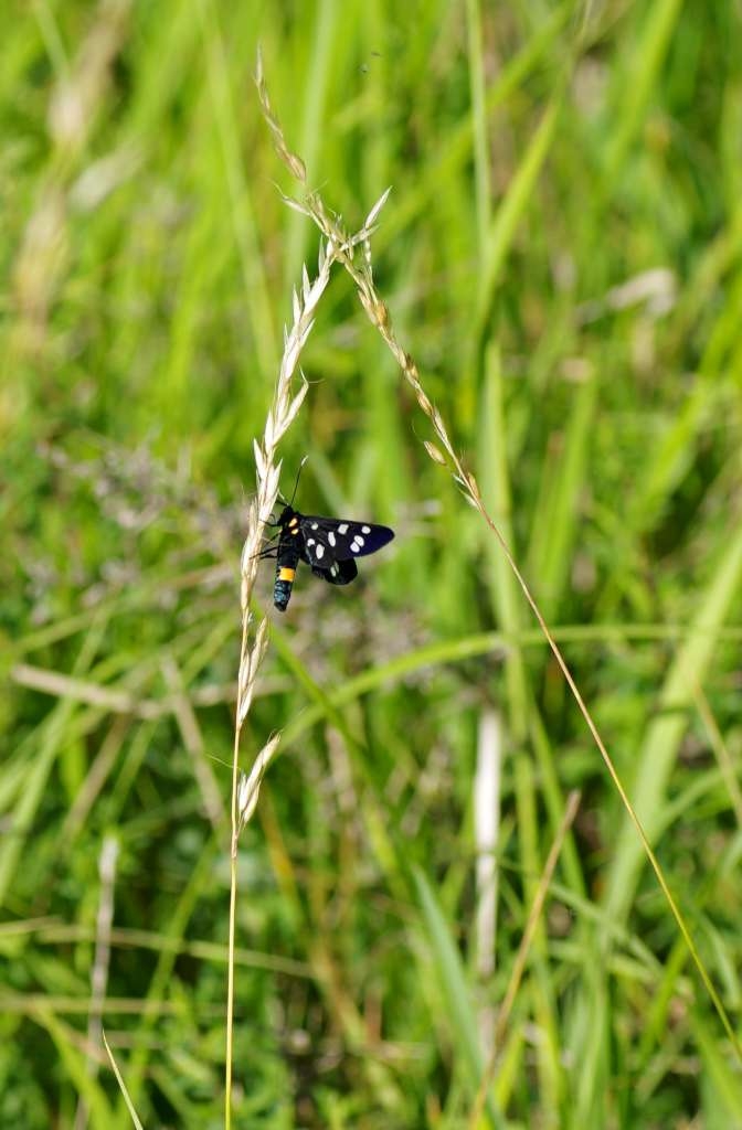 IMGP4721-1024~0.jpg