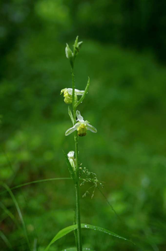 IMGP5001-1024~3.jpg