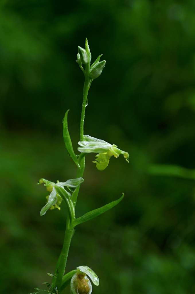 IMGP5003-1024~4.jpg