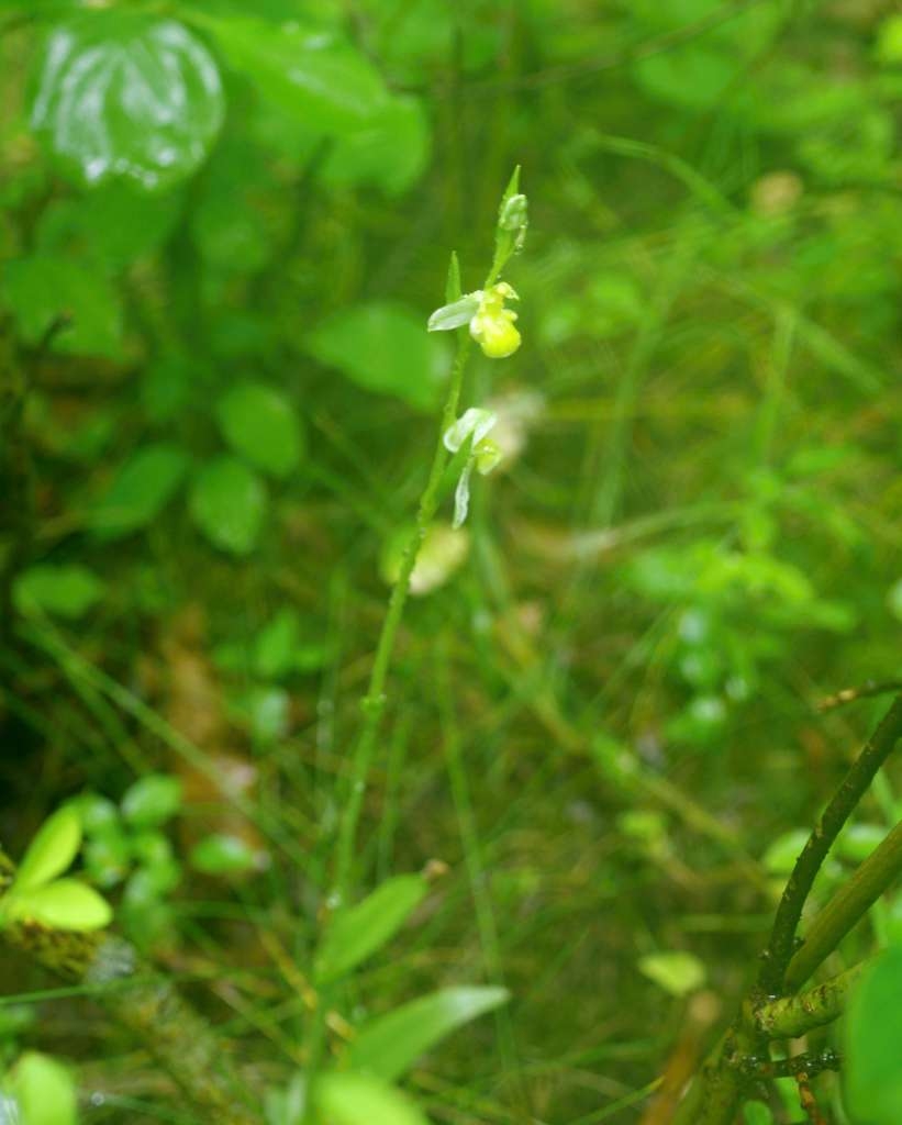 IMGP5011-1024~4.jpg