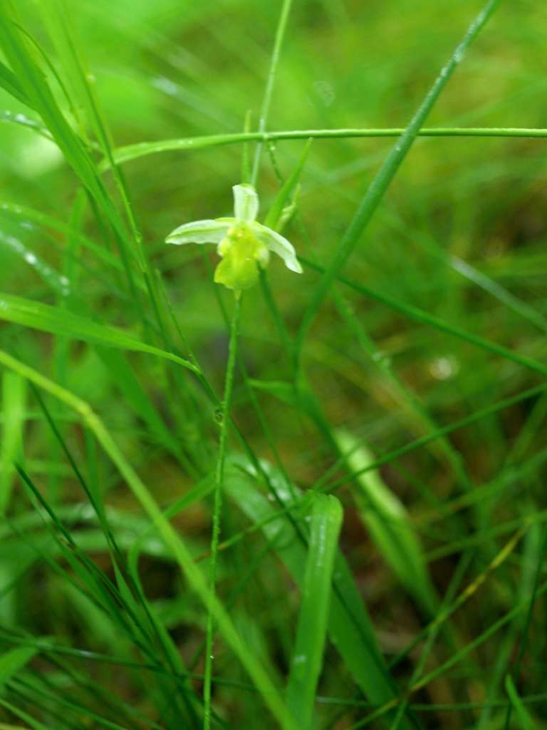IMGP5026-1024~3.jpg