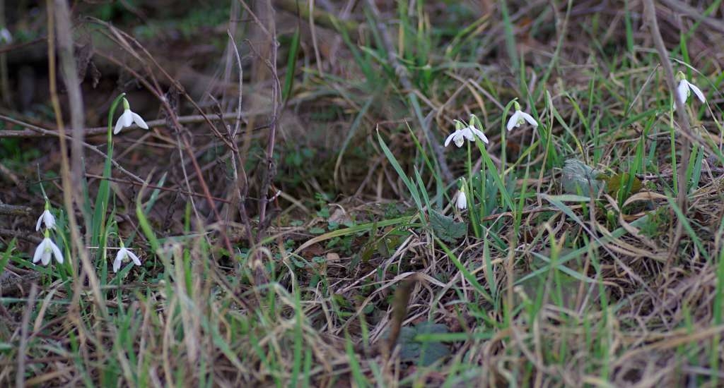 IMGP5028-1024~2.jpg