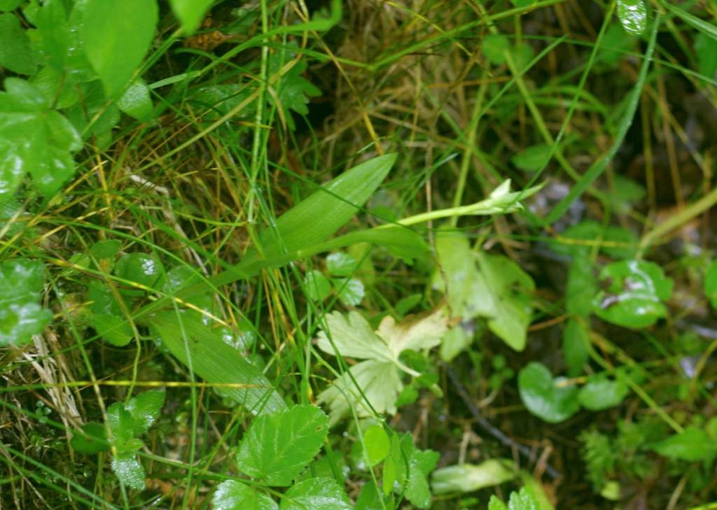 IMGP5045-1024~2.jpg