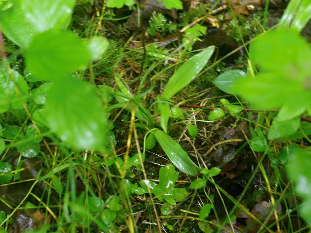 IMGP5047-1024~1.jpg