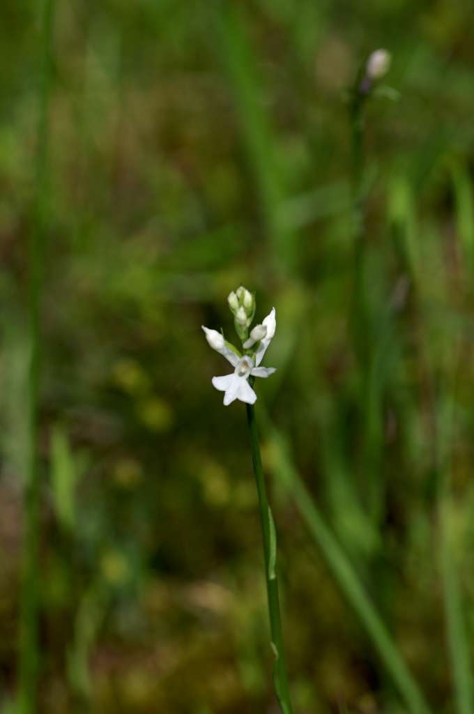 IMGP5069-1024~2.jpg