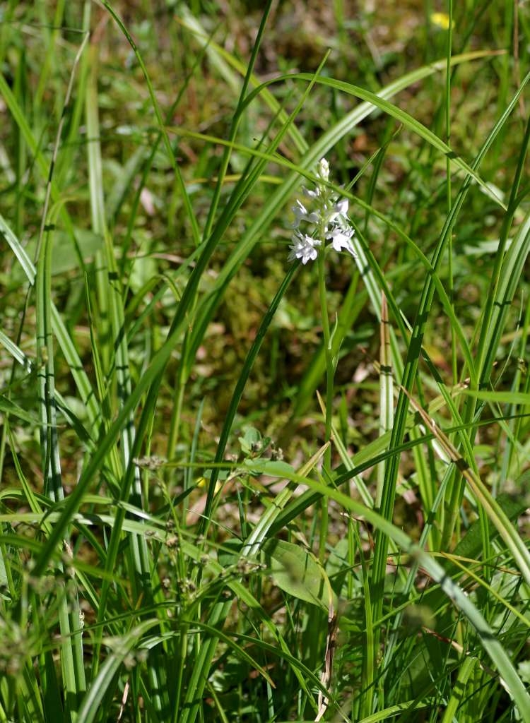 IMGP5080-1024~2.jpg