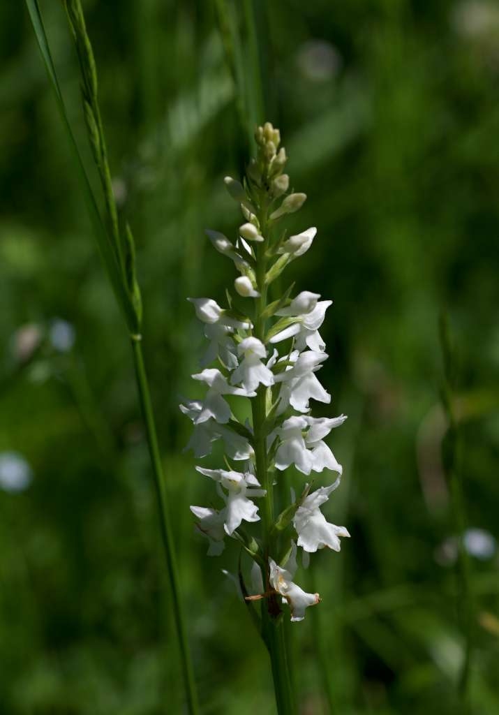 IMGP5090-1024~0.jpg