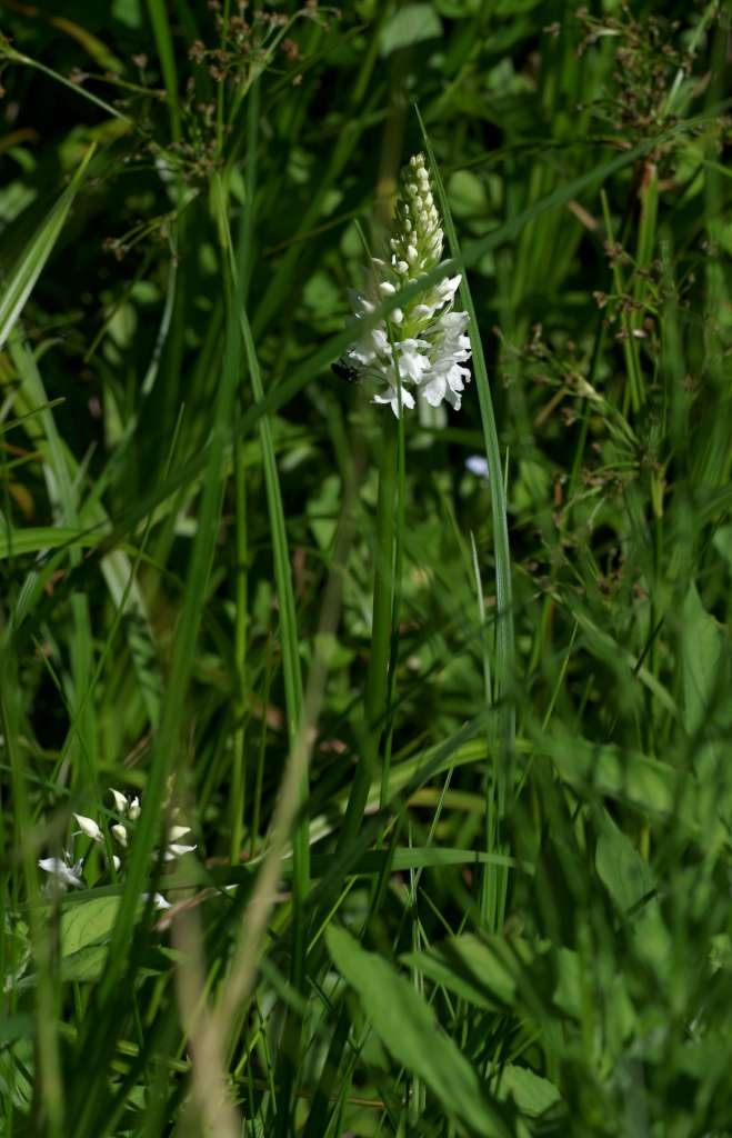 IMGP5176-1024~3.jpg
