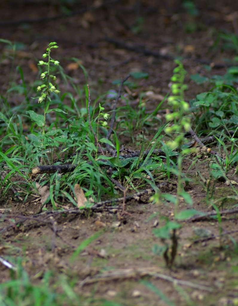 IMGP5186-1024~1.jpg