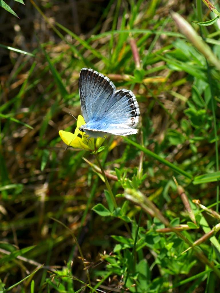 IMGP5343-1024~1.jpg