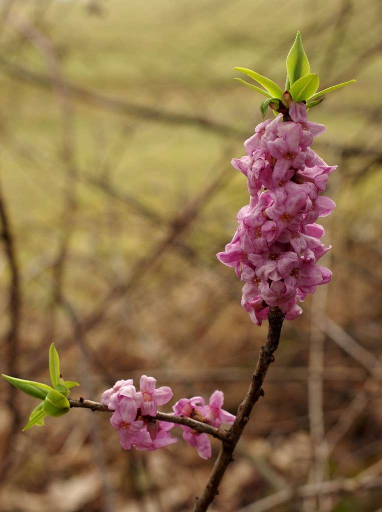 IMGP5400-1024~3.jpg